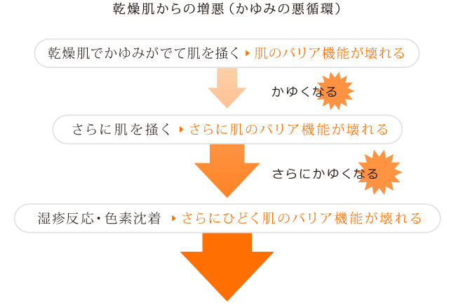 乾燥肌からの増悪（かゆみの悪循環）